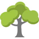 Lawrence Tree Removal
