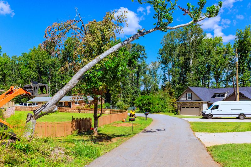 Tree Removal Service detail